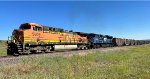 BNSF 5609